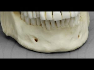 Mandela Effect – Mental Foramen? STRANGE! – Mandela Effects