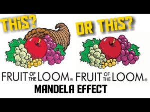 cornucopia fruit of the loom cornucopia fruit of the loom