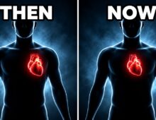 The Human Body Changed (And Nobody Noticed)