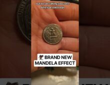 🦅 BRAND NEW MANDELA EFFECT