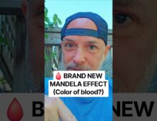 🩸 BRAND NEW MANDELA EFFECT (Color of blood?)